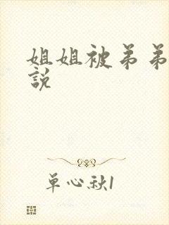 姐姐被弟弟艹小说