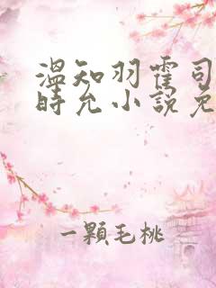 温知羽霍司砚顾时允小说免费阅读