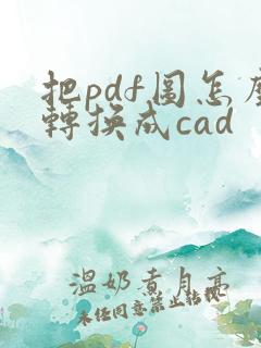 把pdf图怎么转换成cad