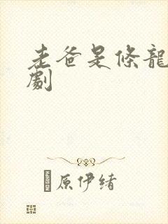 老爸是条龙电视剧