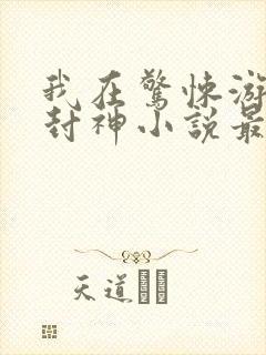 我在惊悚游戏里封神小说最新篇章