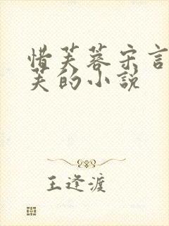 惜芙蓉宋言深宋芙的小说