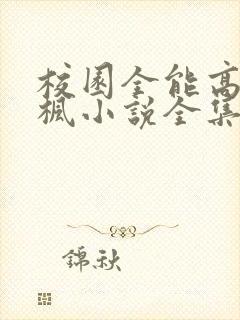 校园全能高手季枫小说全集完整版txt
