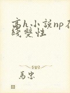 高h小说np在线双性