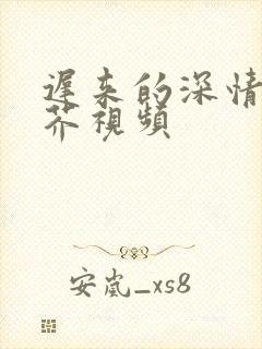 迟来的深情如草芥视频