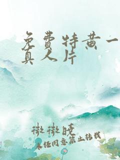 免费特黄一级大真人片