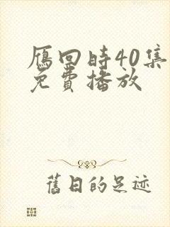 雁回时40集全免费播放