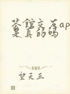 茶馆交友app是真的吗