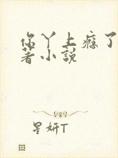 你丫上瘾了的原著小说