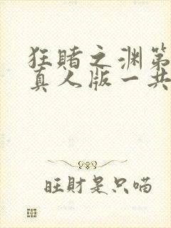 狂赌之渊第二季真人版一共多少集