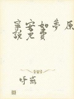 宁安如梦原著小说免费