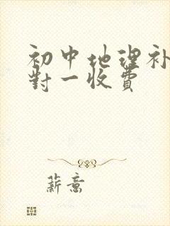 初中地理补课一对一收费