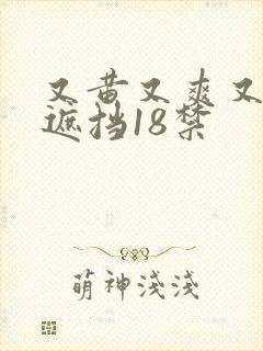 又黄又爽又色无遮挡18禁