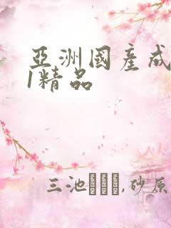 亚洲国产成人91精品