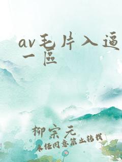 av毛片入逼片一区