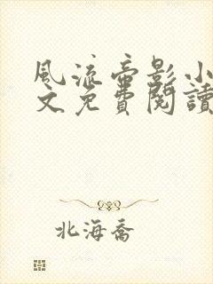 风流帝影小说全文免费阅读无弹窗