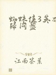 蜘蛛侠3英雄无归网盘