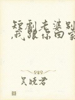 短剧老婆别追了,我跟你回家