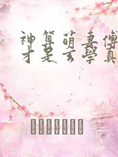 神算萌妻傅太太才是玄学真大佬原著