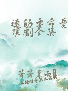 远的要命爱情电视剧全集