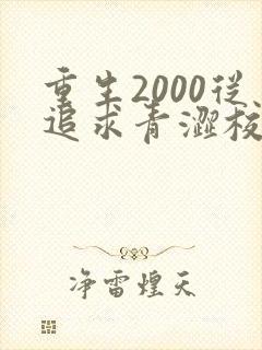 重生2000从追求青涩校花同桌女主