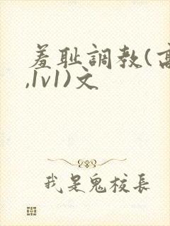 羞耻调教(高h,1v1)文