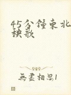 45分钟东北大秧歌