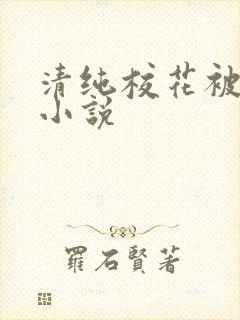 清纯校花被日常小说