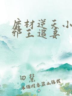 废材逆天小姐之邪王追妻