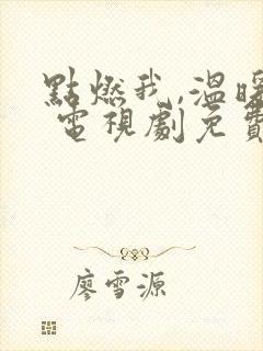 点燃我,温暖你 电视剧免费