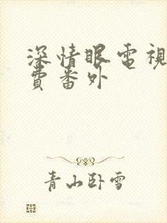 深情眼电视剧免费番外