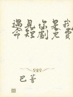 遇见你是我的宿命短剧免费观看全集