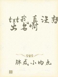 txt我真没想出名啊