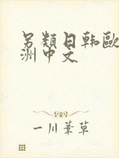 另类日韩欧美亚洲中文