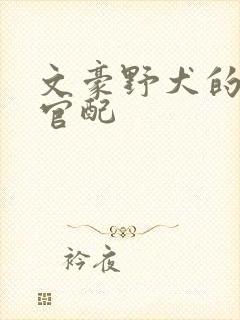 文豪野犬的cp官配