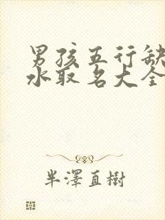 男孩五行缺金缺水取名大全