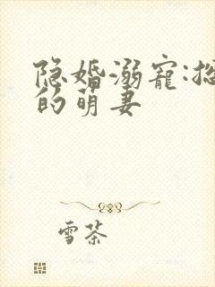 隐婚溺宠:总裁的萌妻