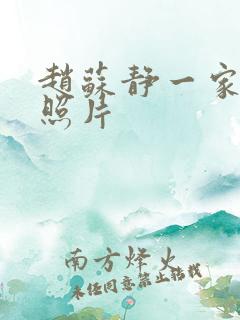 赵苏静一家三口照片