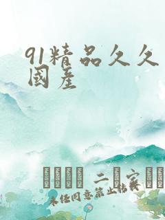 91精品久久久国产