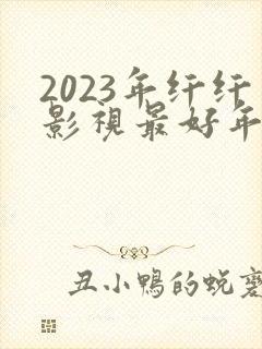 2023年纤纤影视最好年电视剧
