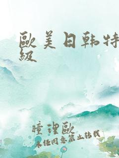 欧美日韩特黄一级