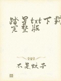 踏星txt下载完整版