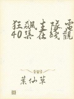 狂飙支队电视剧40集在线观看免费