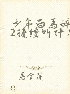 少年白马醉春风2后续叫什么