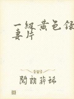 一级黄色录像夫妻片