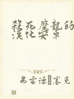 杀死魔龙的少女汉化安卓