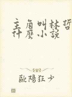 主角叫林哲的是什么小说