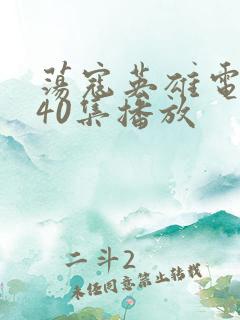 荡寇英雄电视剧40集播放