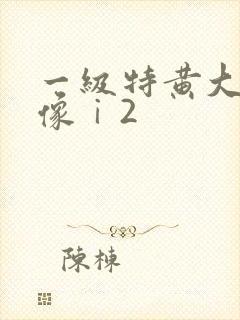 一级特黄大片录像ⅰ2