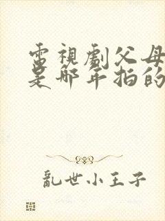 电视剧父母爱情是哪年拍的